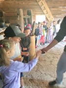 większy obrazek nr 23