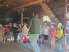 większy obrazek nr 24