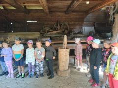 większy obrazek nr 25