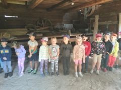 większy obrazek nr 29