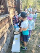 większy obrazek nr 36