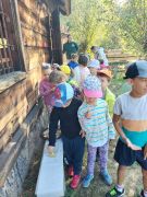 większy obrazek nr 37