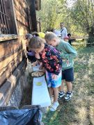 większy obrazek nr 38