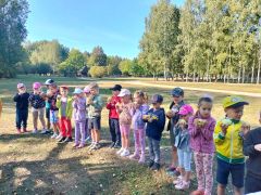 większy obrazek nr 44