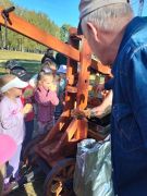 większy obrazek nr 45