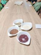 większy obrazek nr 52