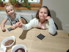 większy obrazek nr 55