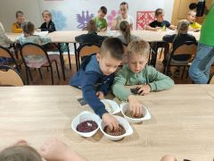 większy obrazek nr 58