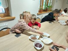 większy obrazek nr 59