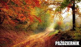 ilustracja do wpisu 
Tematyka tygodniowa na październik