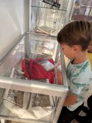 większy obrazek nr 7