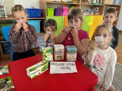 większy obrazek nr 1