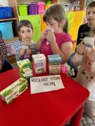 większy obrazek nr 2