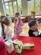 większy obrazek nr 3