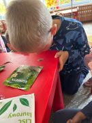 większy obrazek nr 5