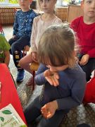 większy obrazek nr 6