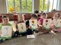 większy obrazek nr 11