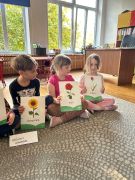 większy obrazek nr 13