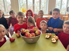 większy obrazek nr 1