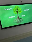 większy obrazek nr 6