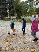 większy obrazek nr 26