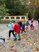 większy obrazek nr 27