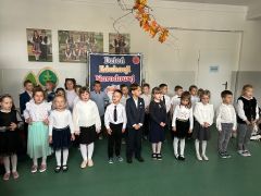 większy obrazek nr 12