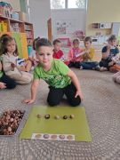 większy obrazek nr 1