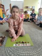 większy obrazek nr 5