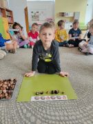 większy obrazek nr 6