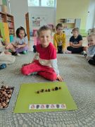 większy obrazek nr 11