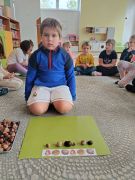 większy obrazek nr 13