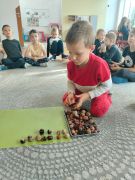 większy obrazek nr 19