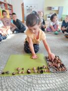 większy obrazek nr 21