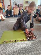 większy obrazek nr 22