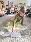 większy obrazek nr 25