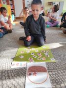 większy obrazek nr 31