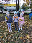 większy obrazek nr 1