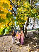 większy obrazek nr 6