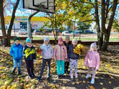 większy obrazek nr 8