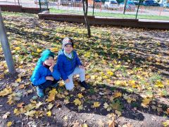 większy obrazek nr 9