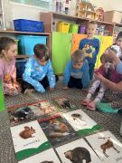 większy obrazek nr 2