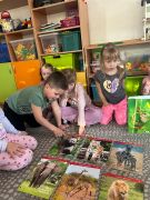 większy obrazek nr 3