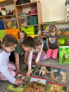 większy obrazek nr 4