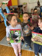 większy obrazek nr 5