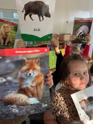 większy obrazek nr 6