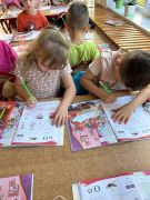 większy obrazek nr 10