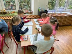 większy obrazek nr 13