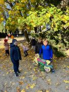 większy obrazek nr 26