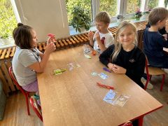 większy obrazek nr 9